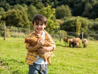 Homeschooled boy holding chicken on farm