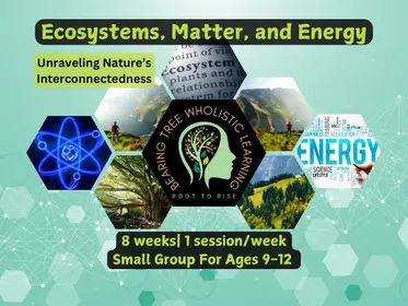 Unravelling Nature's Interconnectedness: Ecosystems, Matter, and Energy Taught by a Credentialed Science Teacher and Geologist