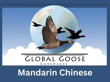 Mandarin Semi-Private Tutoring