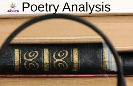 Poetry Analysis