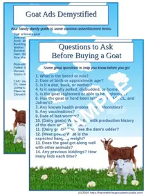 FREE! Quick Guide to Buying Goats