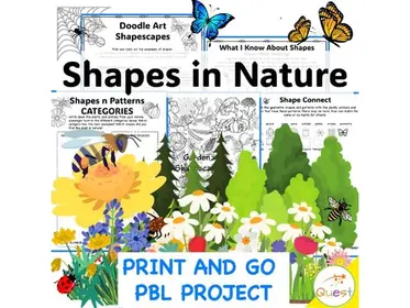 Project Based Learning (PBL) Geometry, Science - Shapes in Nature