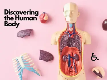 Discovering the Human Body: Guide for Students with Disabilities