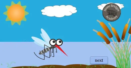 Escape the Swarm: Explore Mosquito Metamorphosis in Animated Escape Room