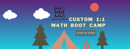 Mini Math 1:1 Summer Boot Camp (1 Week)