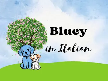 Bluey Italian for Beginners 25 Minute Club