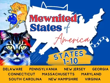 50 States - Mewnited States of America Unit Study Part 1