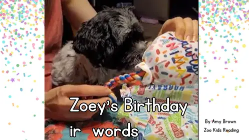 Zoey's Birthday: ir words eBook