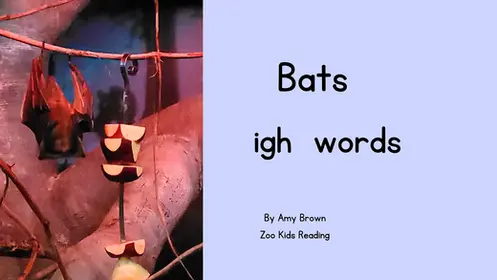 Bats: igh words eBook