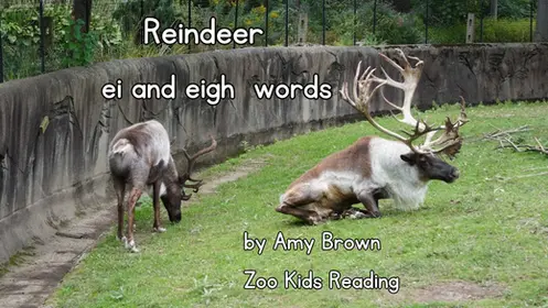 Reindeer: ei and eigh words eBook