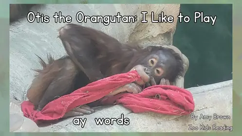 Otis the Orangutan: I like to play ay words eBook