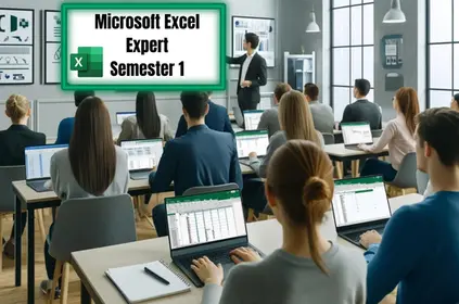 Microsoft Excel Expert - Semester 1