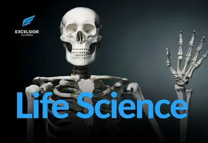 Life Science - Junior High Science