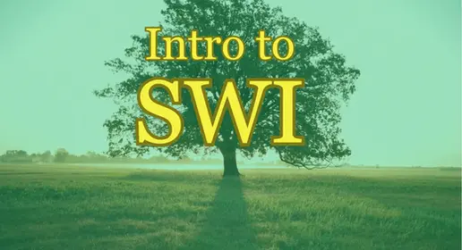 Introduction to Structured Word Inquiry