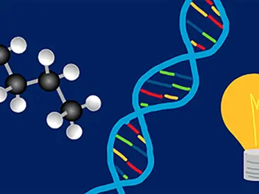 Fundamentals of Middle School Science: An Introduction to Physics, Chemistry, and Biology