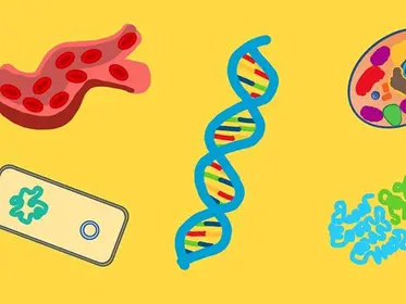 Concepts in Biology - High School Biology Part 1