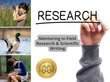 Mentoring in Field Research and Scientific Writing