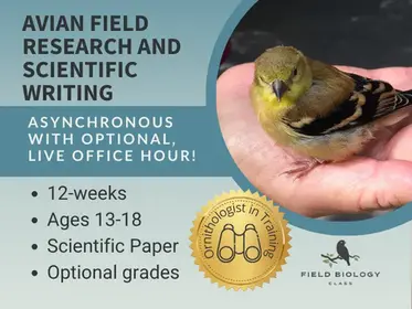 Ornithologist in Training: Avian Field Research and Scientific Writing