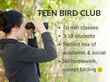 Teen Bird Club