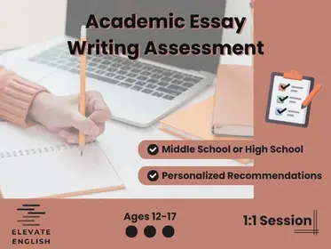 Academic Essay Writing Assessment