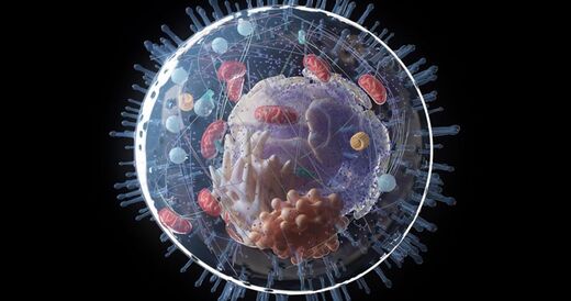 Middle School Science: Parts of a Cell