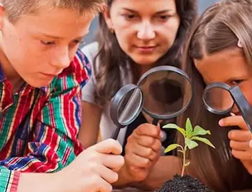 Young Scientist Botany