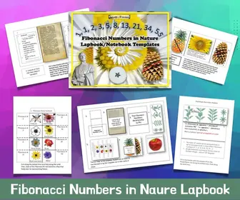 FREE: Fibonacci Numbers in Nature Lapbook/Notebooking Templates