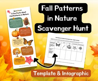 Fall Patterns in Nature Scavenger Hunt Set