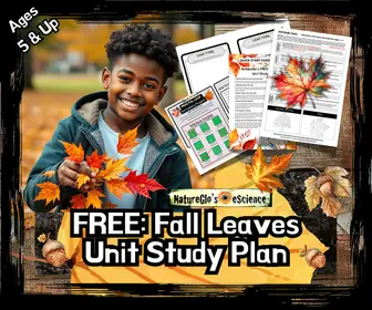 NatureGlo's FREE Fall Leaves Unit Study Plan