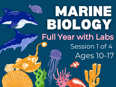 Marine Biology Taught by a Marine Biologist