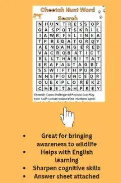 Cheetah Word Search - Education Resources By Jolande Zerwick