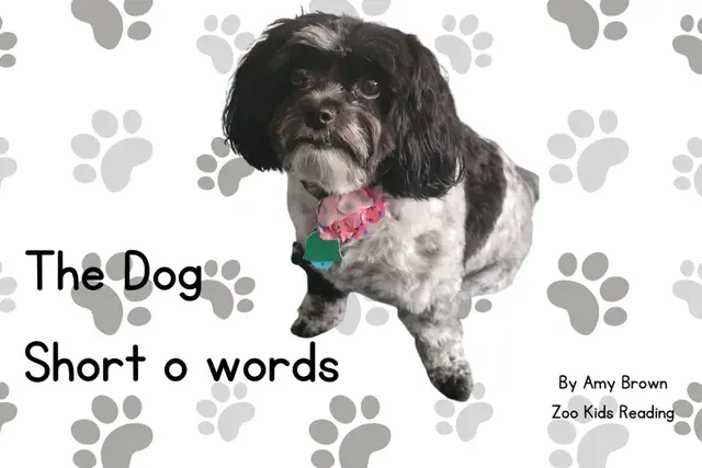 The Dog: Short O words eBook