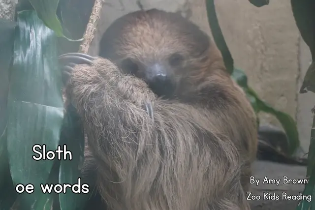 Sloth: OE words eBook