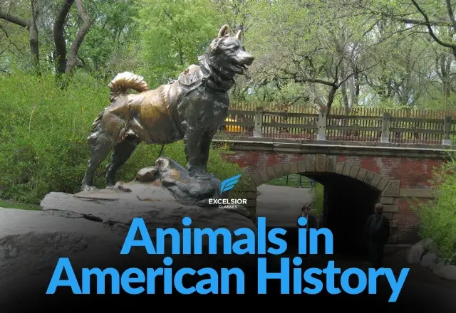 Beginning American History: Animals American History - FALL