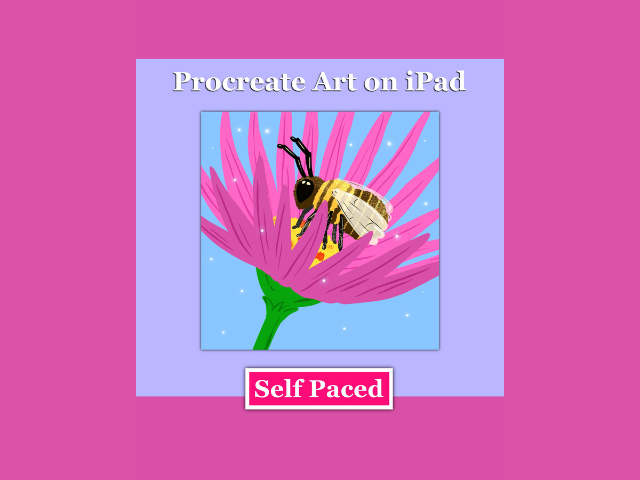 Procreate: Illustrate + Animate a Bee!