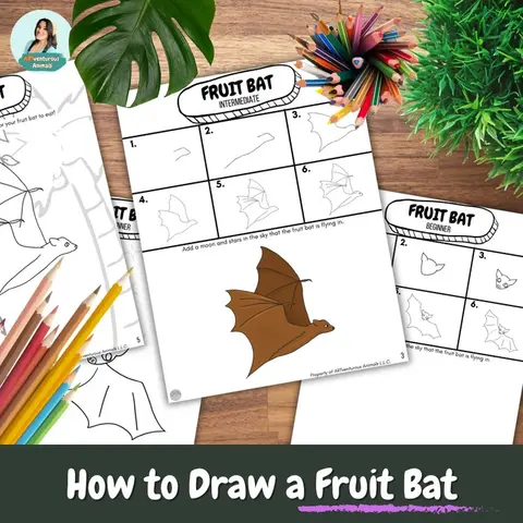 Bat Directed Drawing: How to Draw a Fruit Bat Art Activity & Coloring Pages