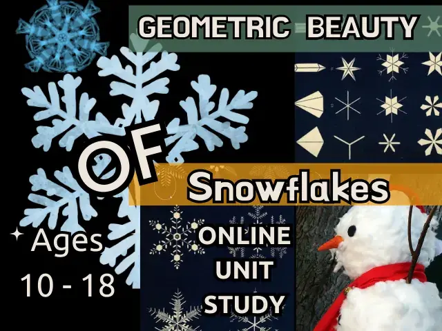 The Geometric Beauty of Snowflakes Online Unit Study Course