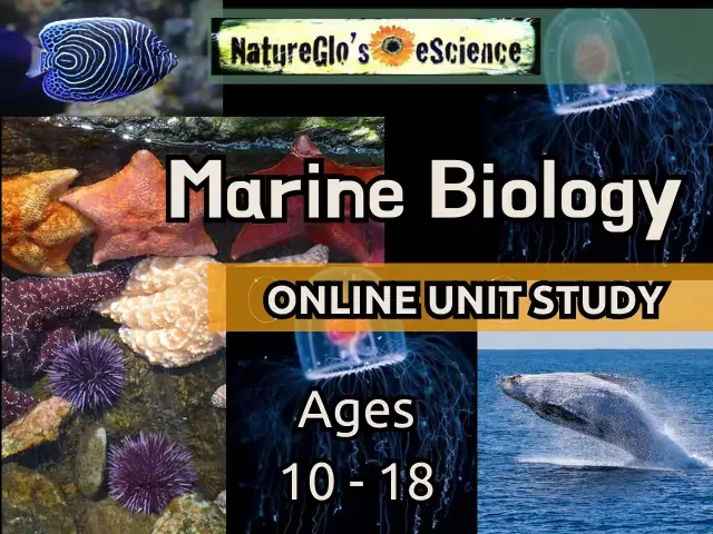 Marine Biology Online Unit Study Class